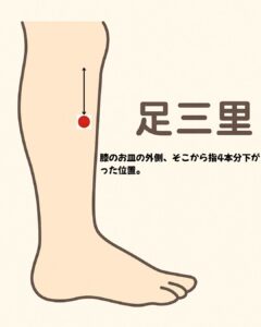 足三里の場所