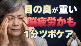 眼精疲労 シニア ツボ｜目の奥の重さ・イライラを整える攅竹（さんちく）のセルフケア